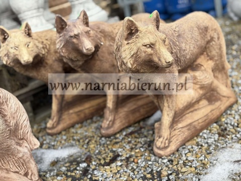 Figurka ogrodowa betonowa WILK STOJĄCY 60cm .