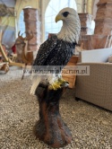 Figurka ogrodowa z żywicy ORZEŁ Szary Brązowy 105 cm.
