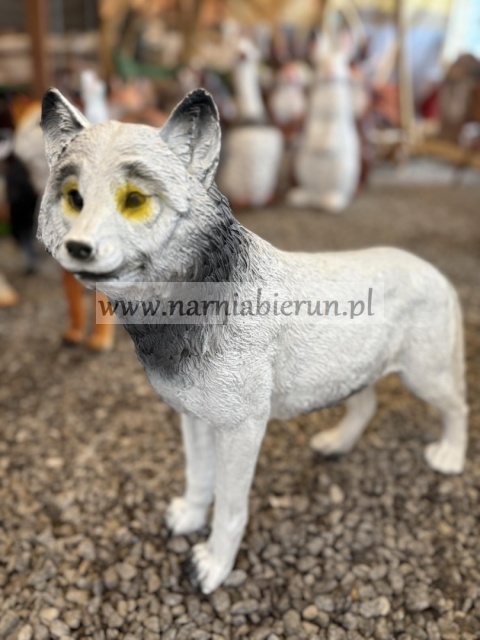 Figurka ogrodowa z żywicy WILK stojący 50 cm.