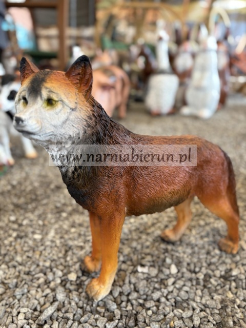 Figurka ogrodowa z żywicy WILK stojący 50 cm.
