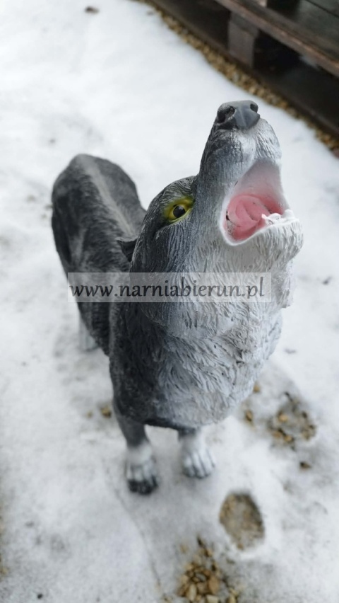 Figurka ogrodowa z żywicy WILK stojący wyjący 57 cm.
