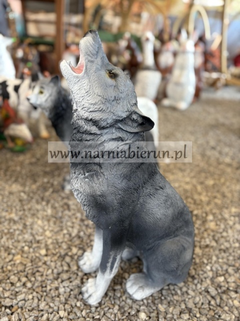 Figurka ogrodowa z żywicy WILK siedzący wyjący 57 cm.