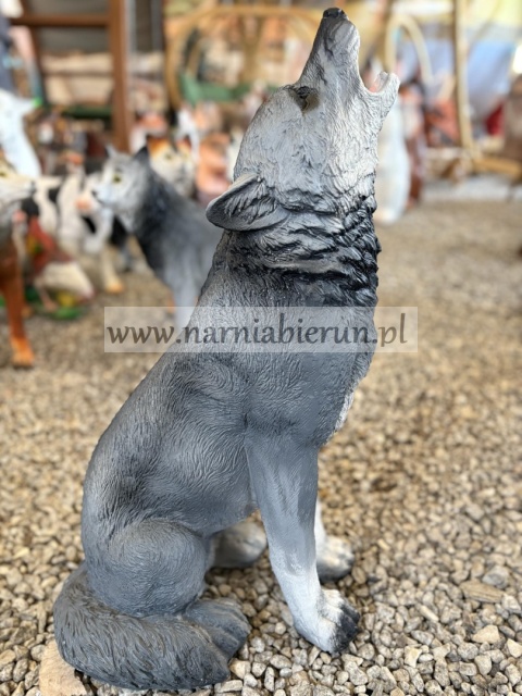 Figurka ogrodowa z żywicy WILK siedzący wyjący 57 cm.