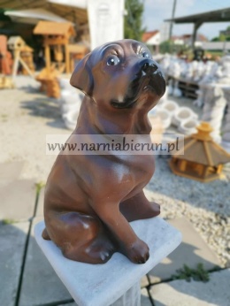 Figurka z ceramiki PIES LABRADOR brązowy 35 cm