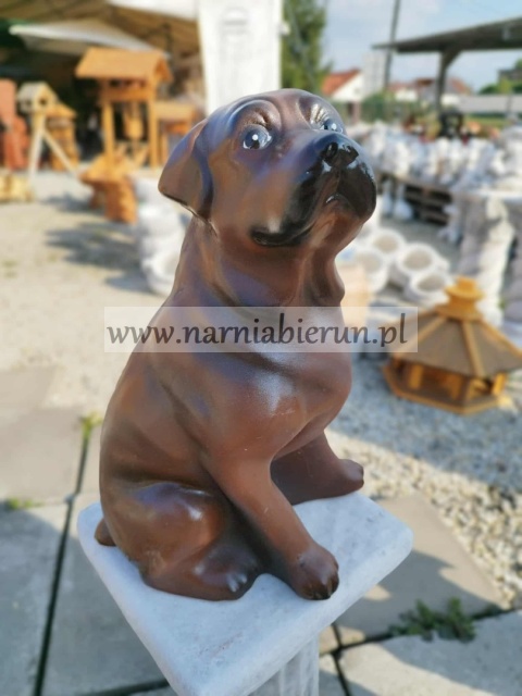 Figurka z ceramiki PIES LABRADOR brązowy 35 cm