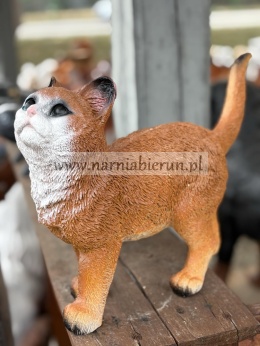 Figurka z żywcy KOT KOTEK rudy 30 cm