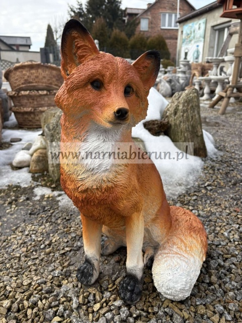 Figurka z żywcy Lisek lis 57 cm.