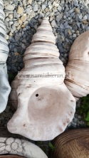 Donica betonowa Doniczka muszla muszelka 35 cm.