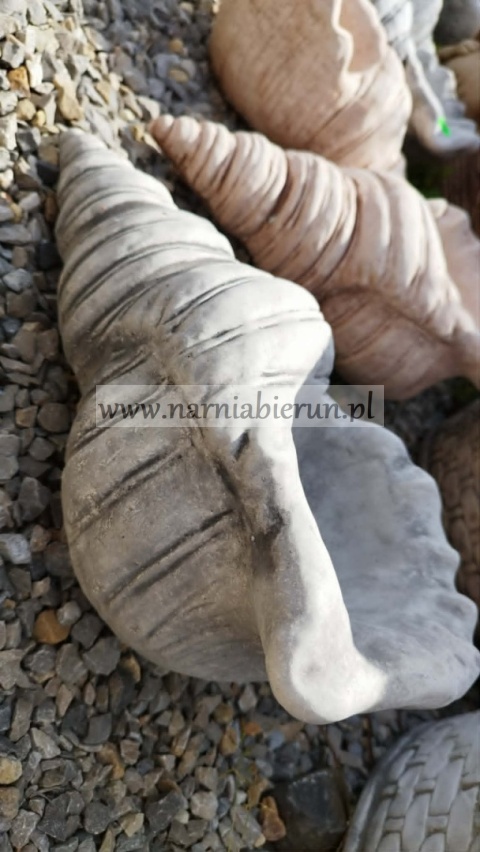 Donica betonowa Doniczka muszla muszelka 35 cm.