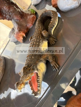 Figurka ogrodowa z żywicy Krokodyl 33 cm