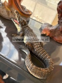Figurka ogrodowa z żywicy Krokodyl 33 cm