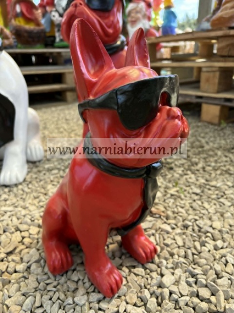 Figurka z żywicy Pies Buldog w okularach francuski mały 35cm