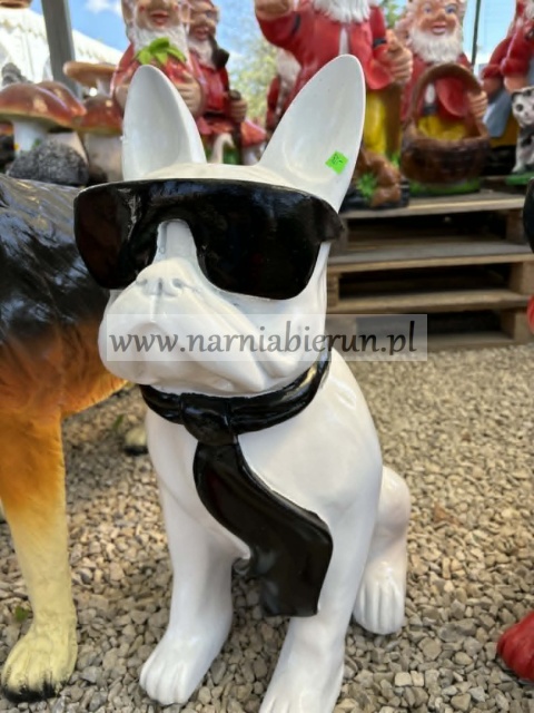 Figurka z żywicy Pies Buldog w okularach francuski mały 35cm