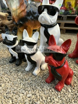 Figurka z żywicy Pies Buldog w okularach francuski mały 35cm