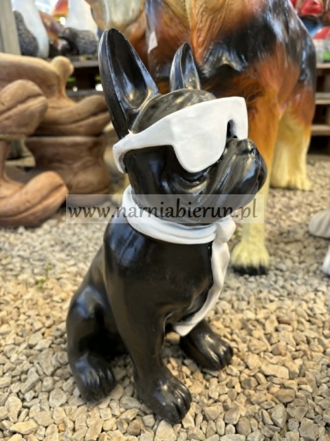 Figurka z żywicy Pies Buldog w okularach francuski mały 35cm