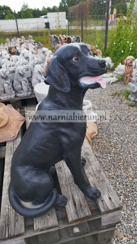 Figurka z żywicy Pies Labrador czarny 70 cm