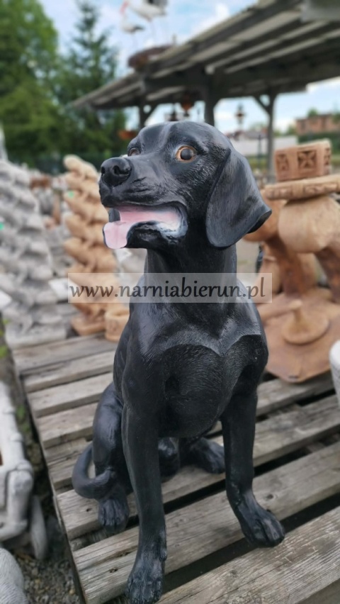 Figurka z żywicy Pies Labrador czarny 70 cm