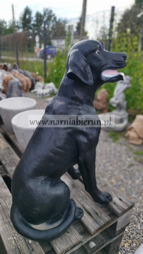 Figurka z żywicy Pies Labrador czarny 70 cm