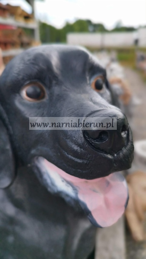 Figurka z żywicy Pies Labrador czarny 70 cm