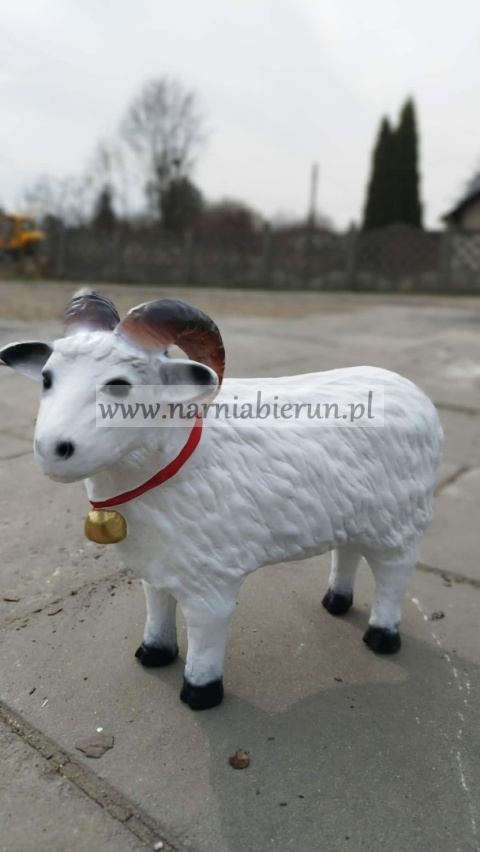 Figurka z żywicy Baran duża baranek 40 cm.