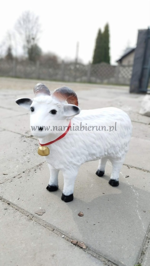 Figurka z żywicy Baran duża baranek 40 cm.