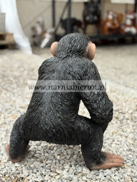 Figurka z żywicy Szympans Małpa małpka 55 cm.
