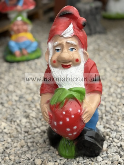 Figurka z żywicy Krasnal krasnoludek z truskawką 42 cm.