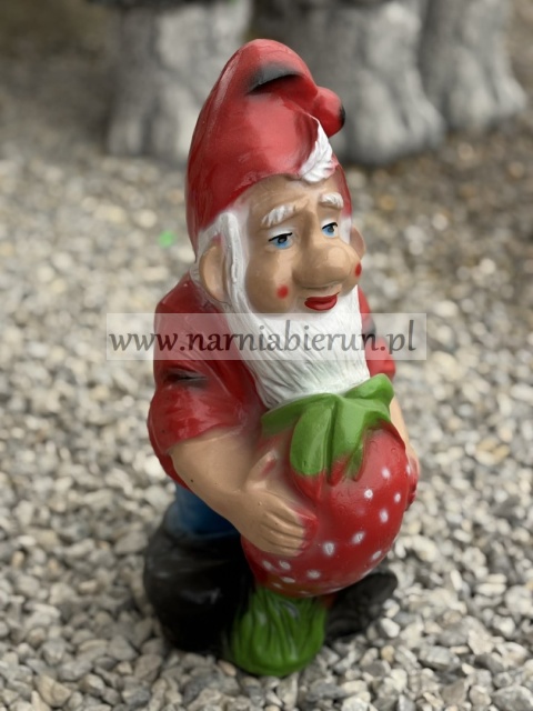 Figurka z żywicy Krasnal krasnoludek z truskawką 42 cm.