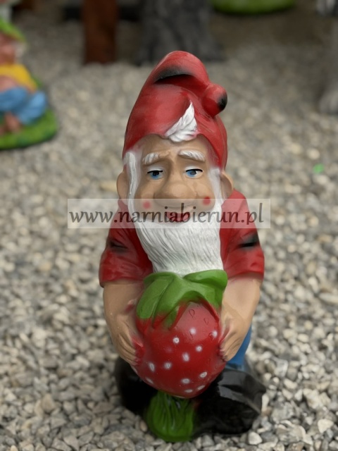 Figurka z żywicy Krasnal krasnoludek z truskawką 42 cm.
