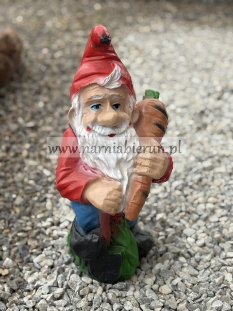 Figurka z żywicy Krasnal krasnoludek z marchewką 46 cm.