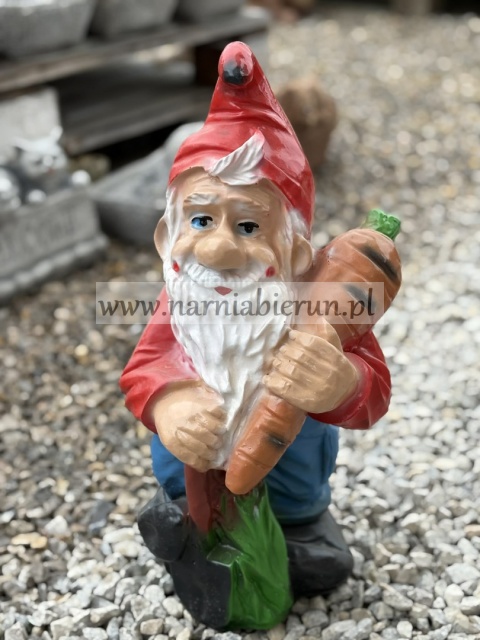 Figurka z żywicy Krasnal krasnoludek z marchewką 46 cm.