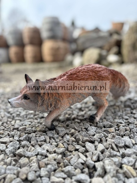 Figurka z żywicy Lisek lis stojący skradający się przyczajony 30 cm.