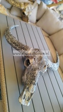 Figurka z żywicy Czaszka bawoła byka do powieszenia złota srebrna 80cm