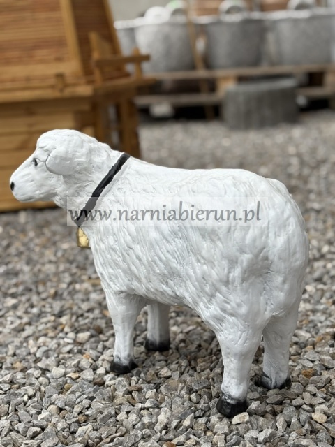 Figurka z żywicy Owca owieczka z dwoneczkiem 45 cm.