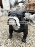 Figurka z żywicy Pies BULDOG ANGIELSKI 63 cm.