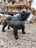 Figurka z żywicy Pies BULDOG ANGIELSKI 63 cm.