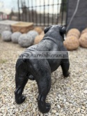 Figurka z żywicy Pies BULDOG ANGIELSKI 63 cm.