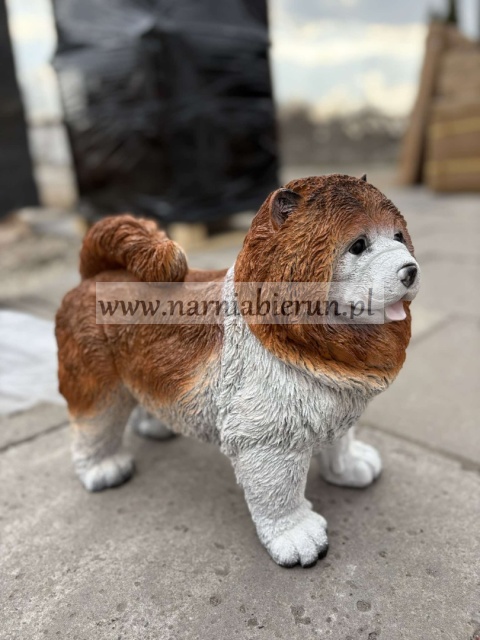 Figurka z żywicy Pies chow chow 36 cm.