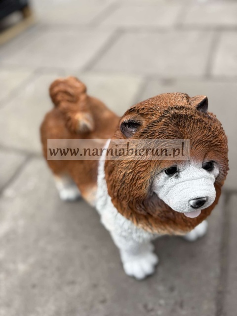Figurka z żywicy Pies chow chow 36 cm.