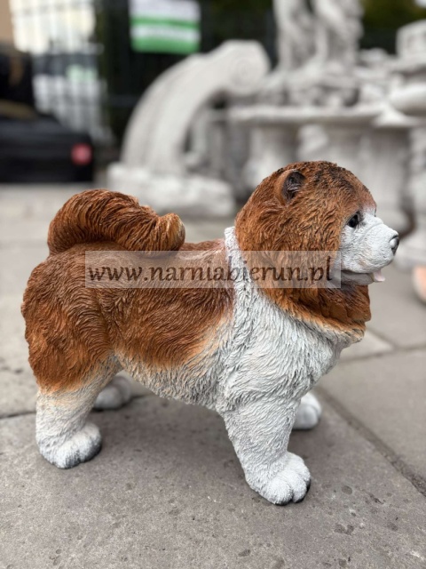 Figurka z żywicy Pies chow chow 36 cm.