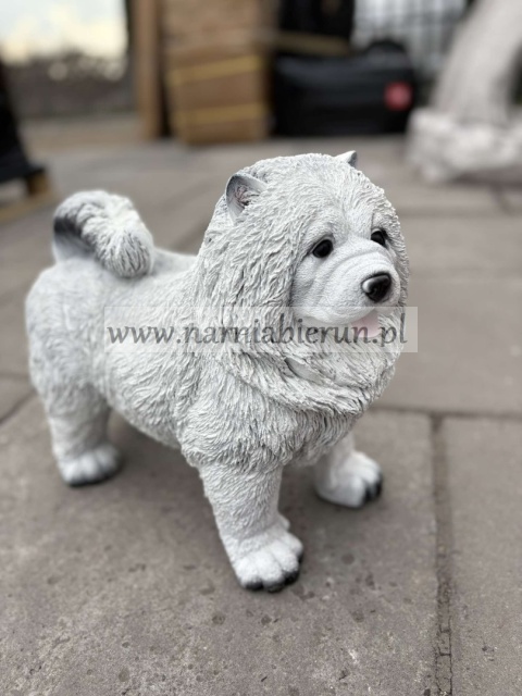 Figurka z żywicy Pies chow chow 36 cm.