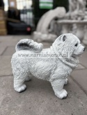 Figurka z żywicy Pies chow chow 36 cm.