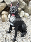 Figurka z żywicy Pies BULDOG MOPS BOKSER siedzący 40 cm.