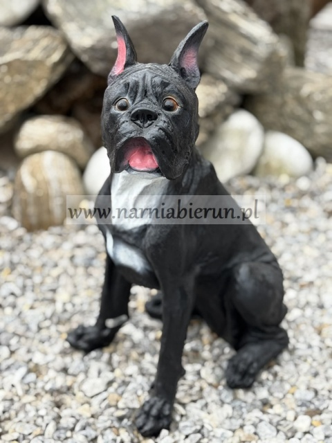 Figurka z żywicy Pies BULDOG MOPS BOKSER siedzący 40 cm.