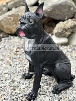 Figurka z żywicy Pies BULDOG MOPS BOKSER siedzący 40 cm.