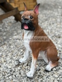 Figurka z żywicy Pies BULDOG MOPS BOKSER siedzący 40 cm.