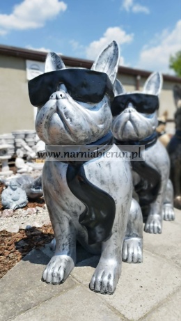 Figurka z żywicy Pies Buldog w okularach francuski GIGANT srebrny 120 cm