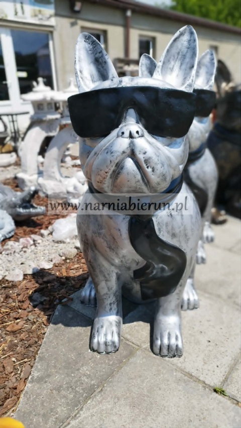 Figurka z żywicy Pies Buldog w okularach francuski GIGANT srebrny 120 cm