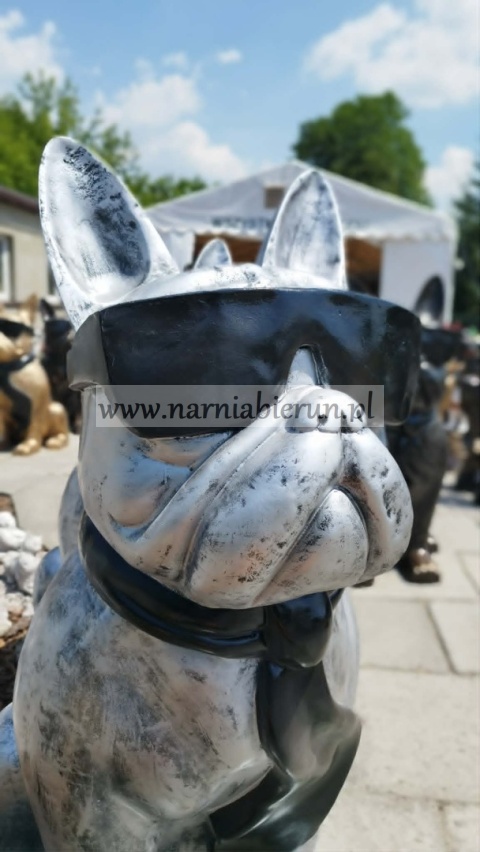 Figurka z żywicy Pies Buldog w okularach francuski GIGANT srebrny 120 cm