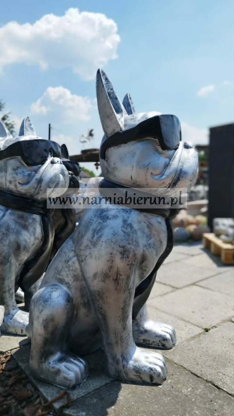 Figurka z żywicy Pies Buldog w okularach francuski GIGANT srebrny 120 cm